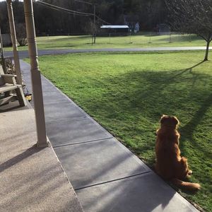 Meet your Posher, Jeanne